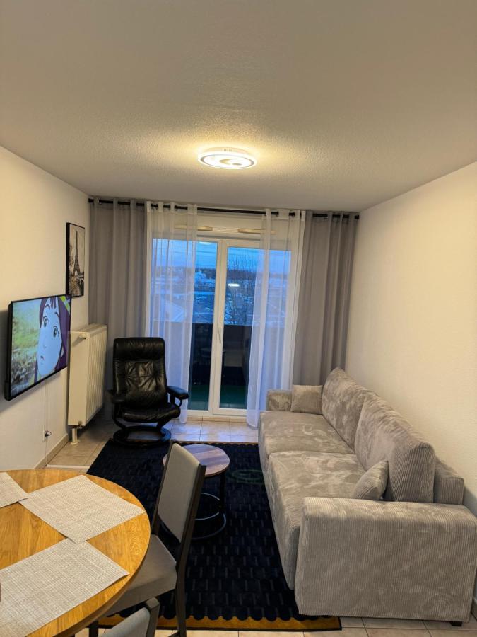 Appartement Calme Avec Balcon, A 4Km Du Centre, Parking, Wi-Fi, Netflix Gratuit ストラスブール エクステリア 写真